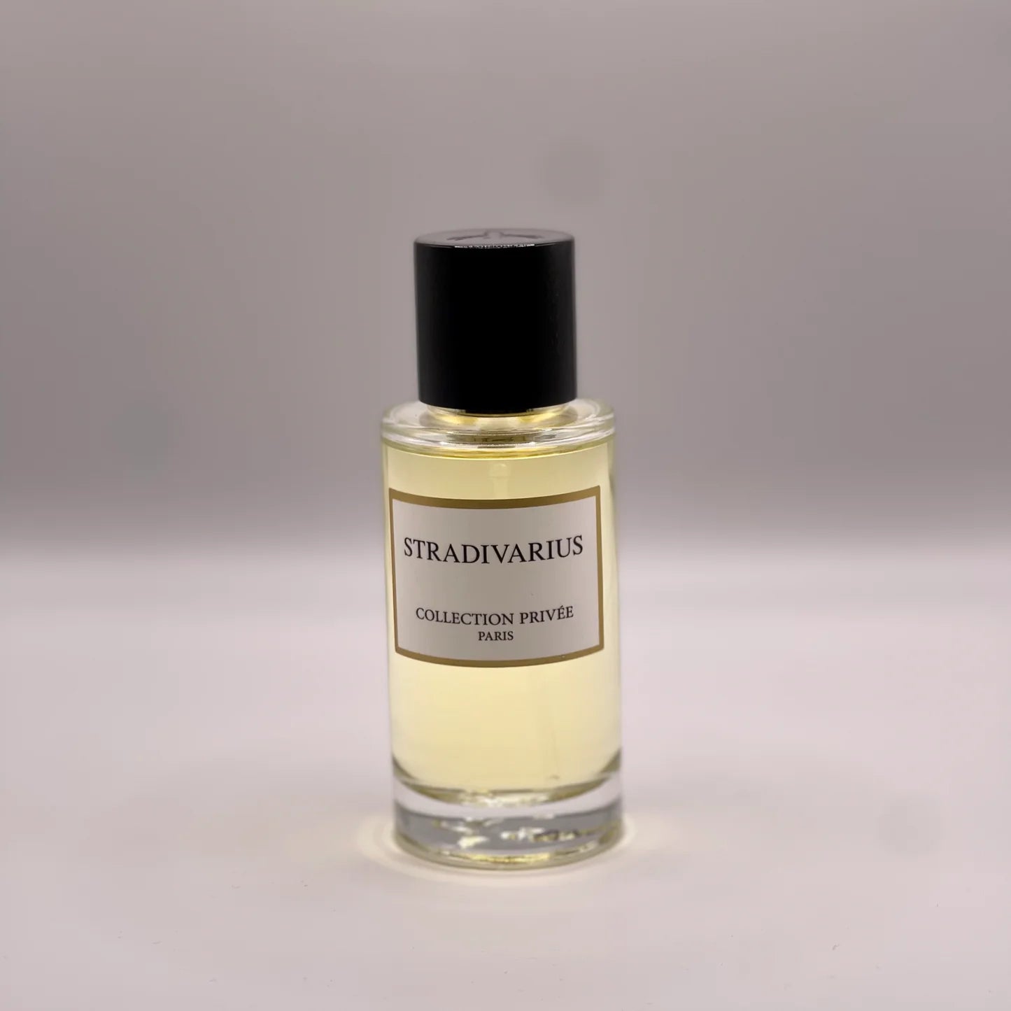 Stradivarius - Convivium paris